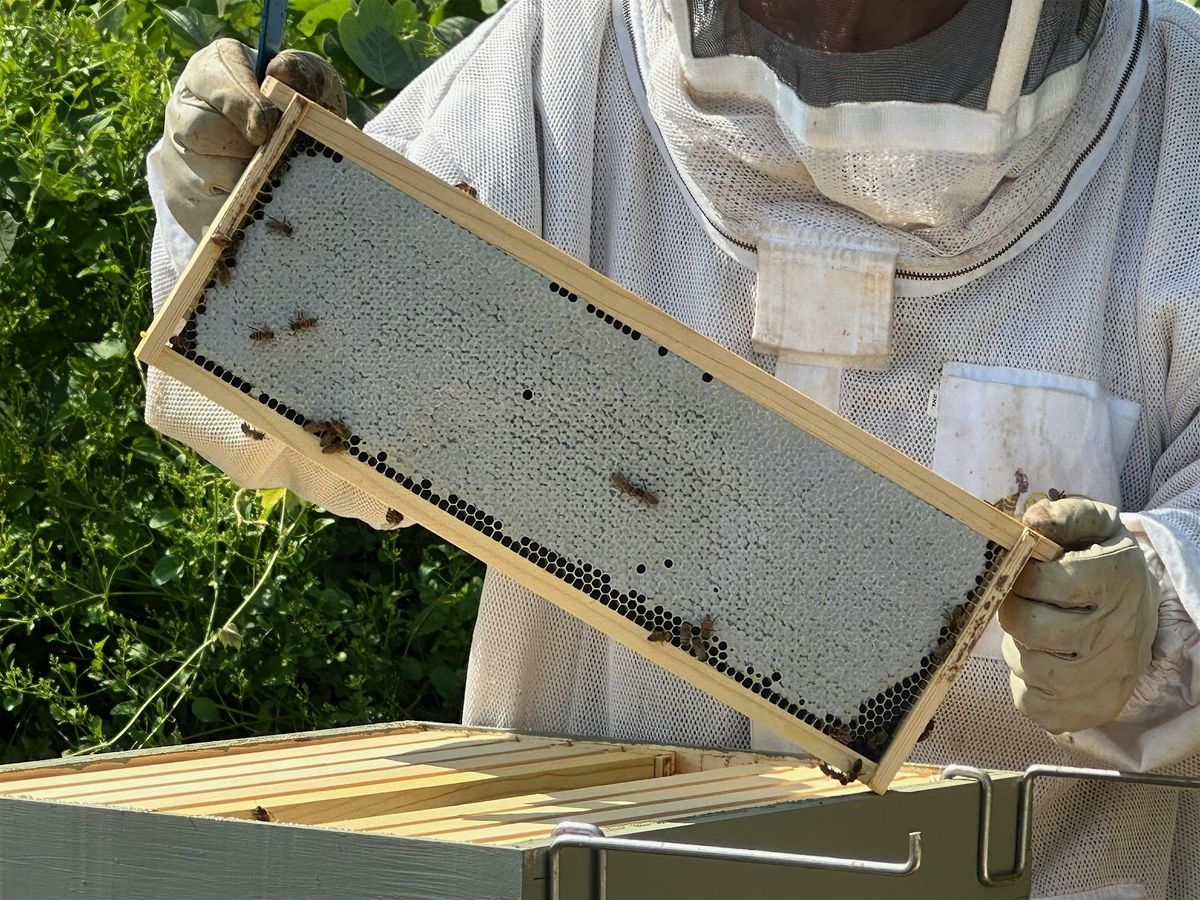 Hertford County August Beekeeper Field Trip, 12 August | Event in Murfreesboro | AllEvents
