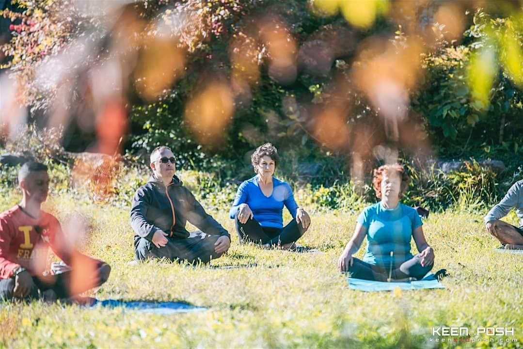 The Stillness Portal" Forest Retreat with Steam Purification" | Event in King City | AllEvents