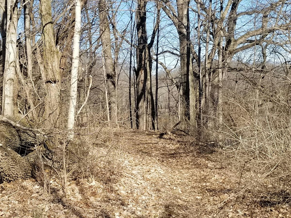 Ohio River Chapter Hike - October, 18 October | Event in Xenia | AllEvents