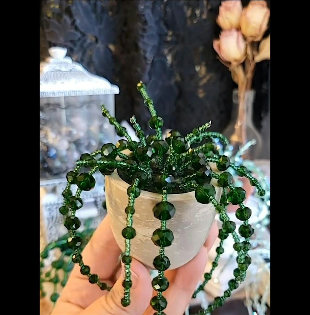 Beaded Mini Succulent, 24 May | Event in Gaithersburg | AllEvents