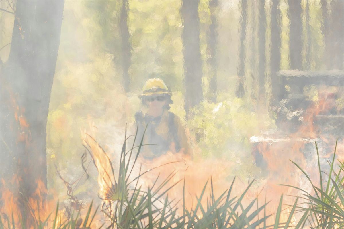 Fire it Up Friday! Prescribed Fire in Colt Creek, 23 May | Event in Lakeland | AllEvents