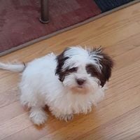 User profile photo
