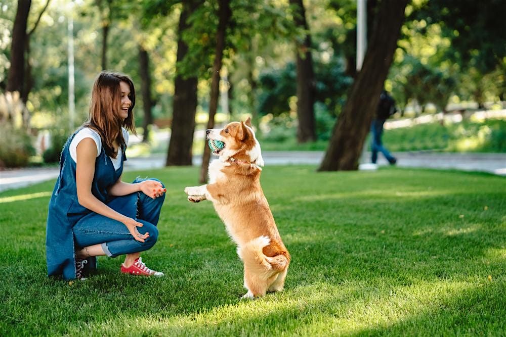 Pet Care & Ownership 101, 13 September | Event in Bristol | AllEvents