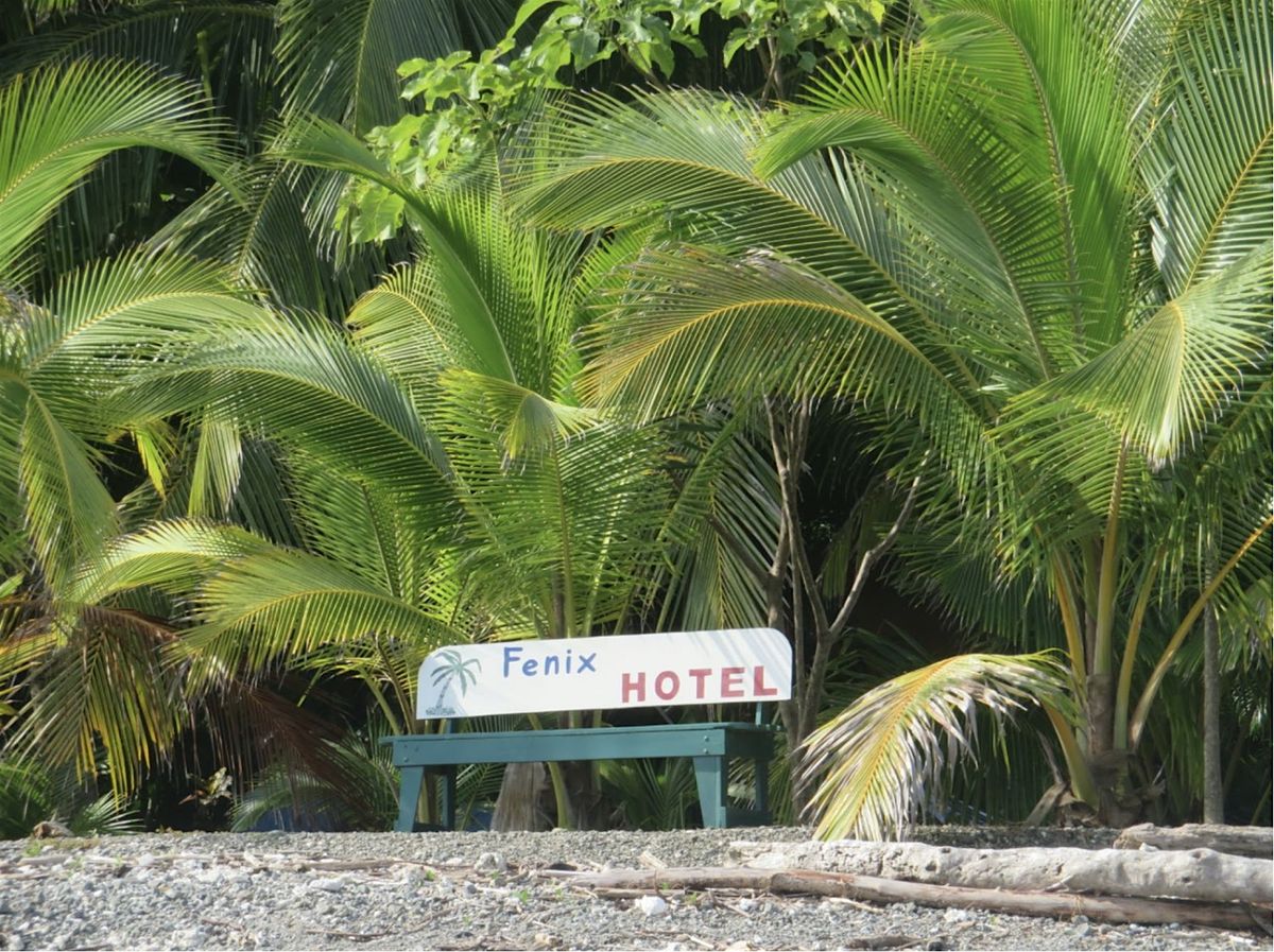 Eendaagse Retraite: Project Paradijs voor Changemakers en Tijdelijk Leiders, 28 November | Event in Breda