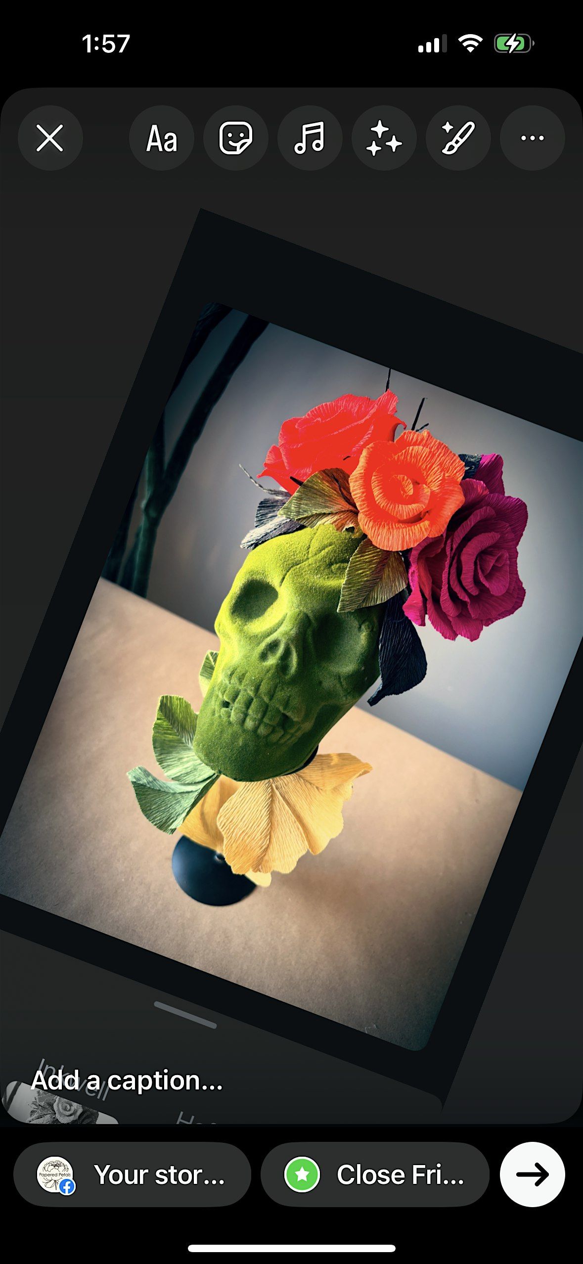 Skulls N' Roses Workshop, 19 October | Event in Hamilton | AllEvents