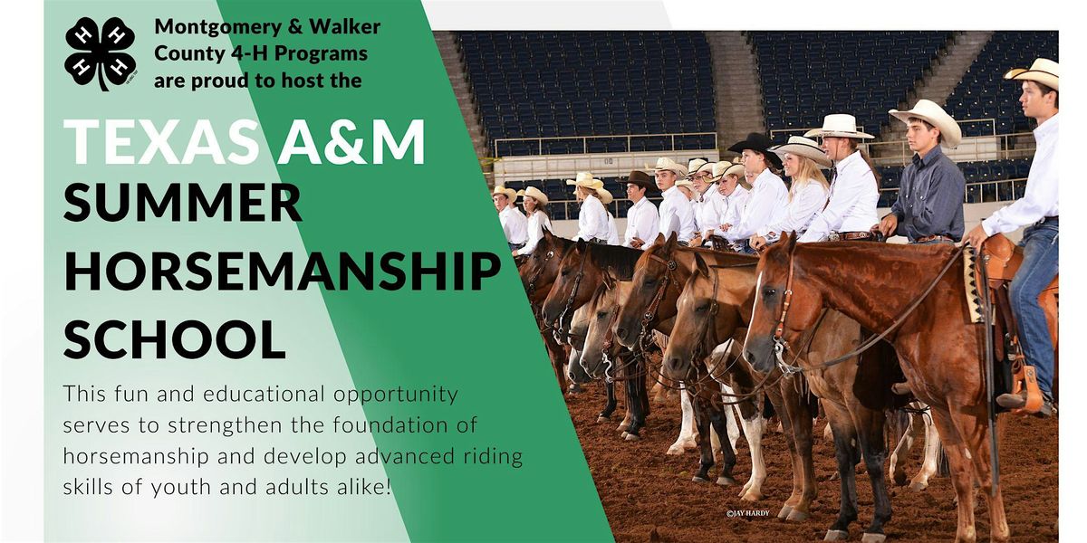 2025 Texas A&M Summer Horsemanship School, 31 May | Event in Conroe | AllEvents
