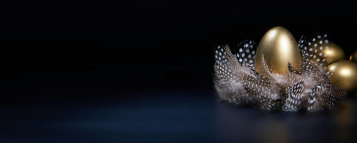 Find & Stop Hidden Profit Leaks in Your Business | Event in Vancouver | AllEvents