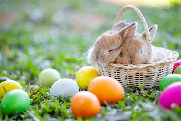 Eggstra Special Easter with KD & Girl Scouts, 18 May | Event in Venus | AllEvents