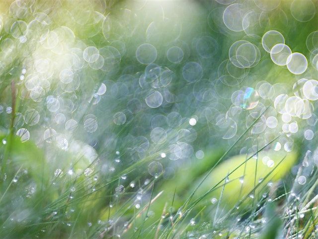 Mini retreat:  Whispers of Stillness: A Journey into Silence, 25 October | Event in New York | AllEvents