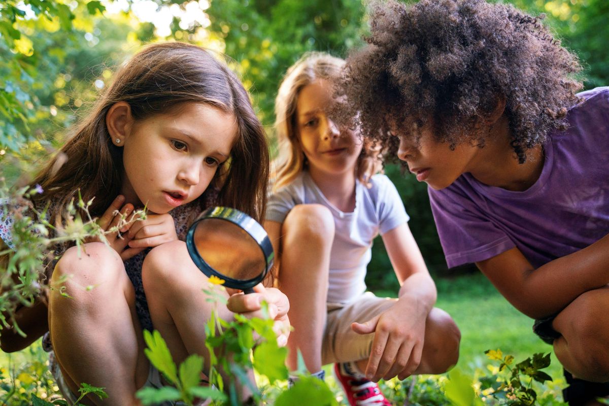 Nene Wetlands Forest School for Home Ed - 23rd October 2025, 23 October | Event in Wellingborough | AllEvents