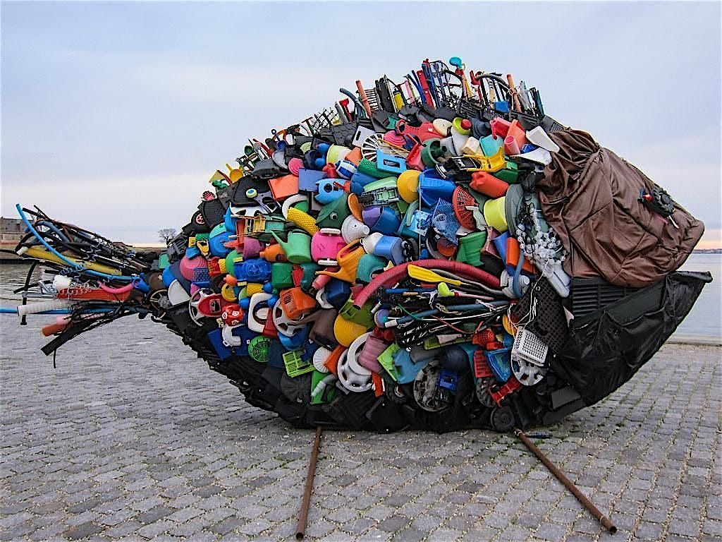 Trash to Treasure After School Club!, 8 September | Event in Friday Harbor | AllEvents