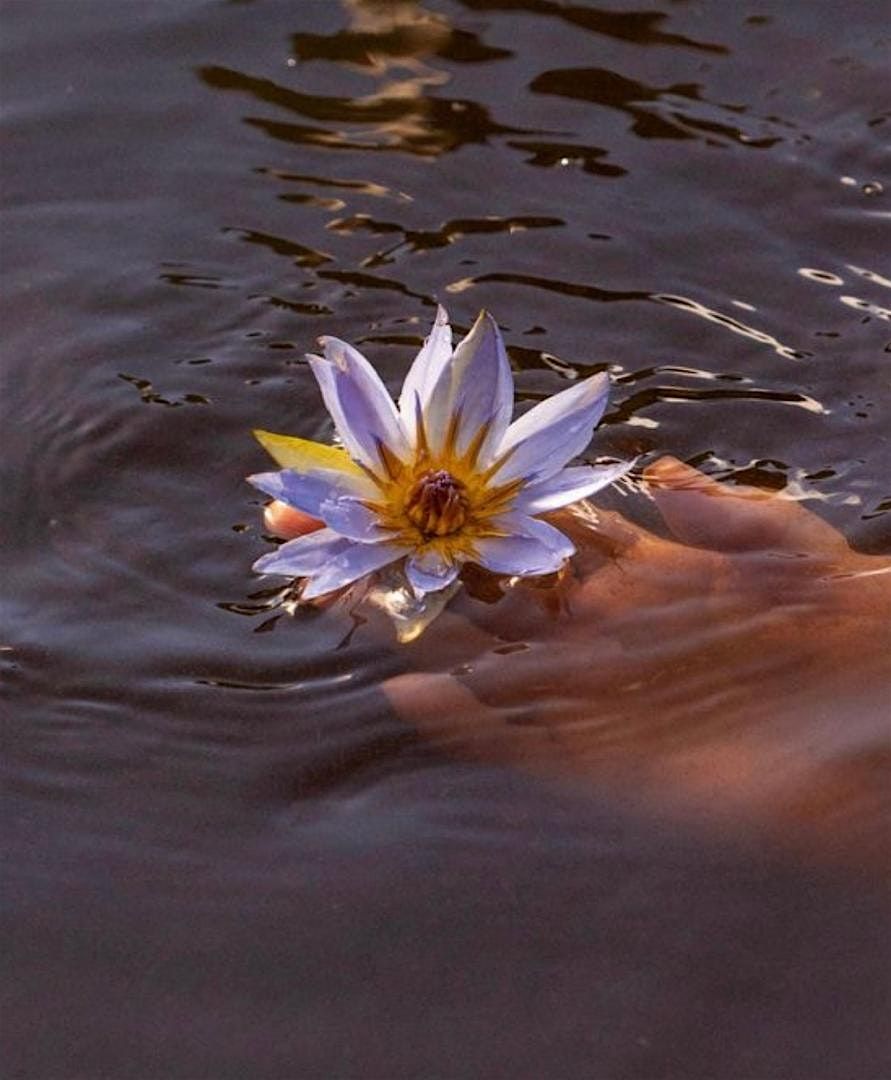 Sound Healing + Blue Lotus Ceremony, 3 December | Event in London | AllEvents