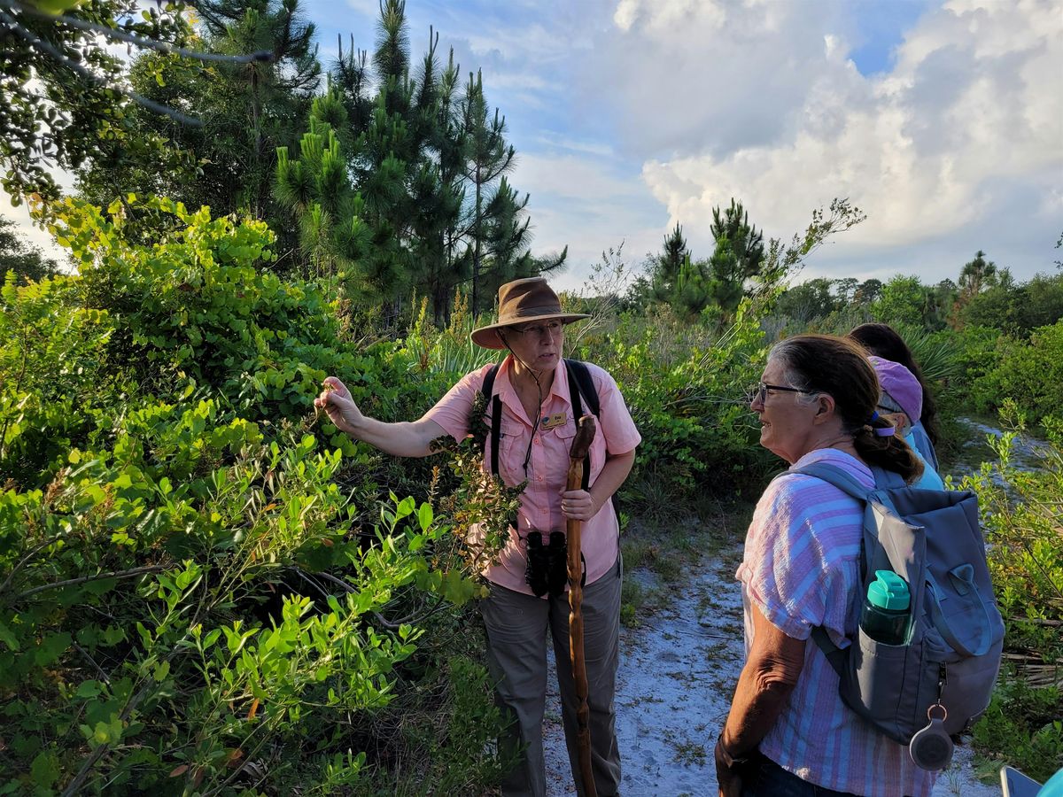 Walk & Learn at Oxbow Preserve, 17 October | Event in Port St. Lucie | AllEvents