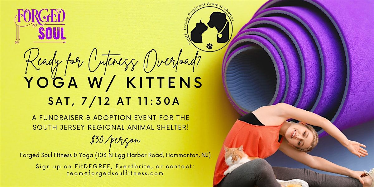 Kitten Yoga! A Playful & Fun Fundraiser for the SJRAS!, 12 July | Event in Hammonton | AllEvents