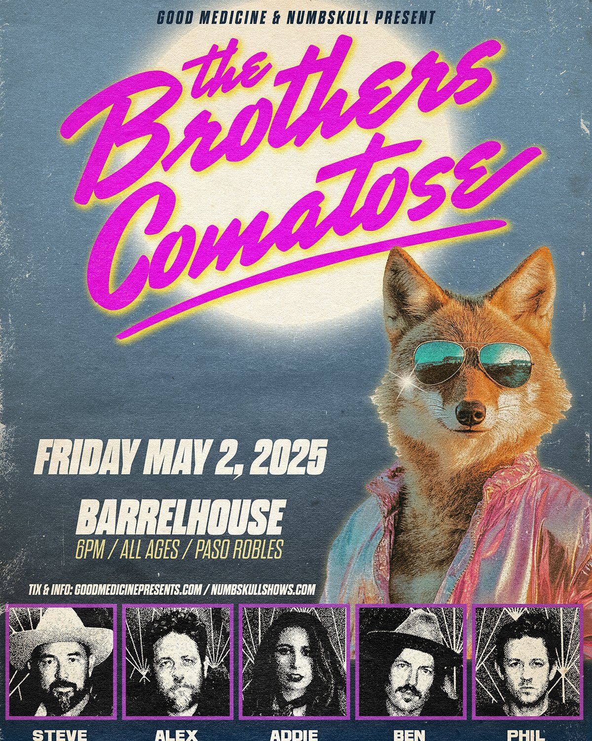 The Brothers Comatose, 6 November | Event in Fort Collins | AllEvents