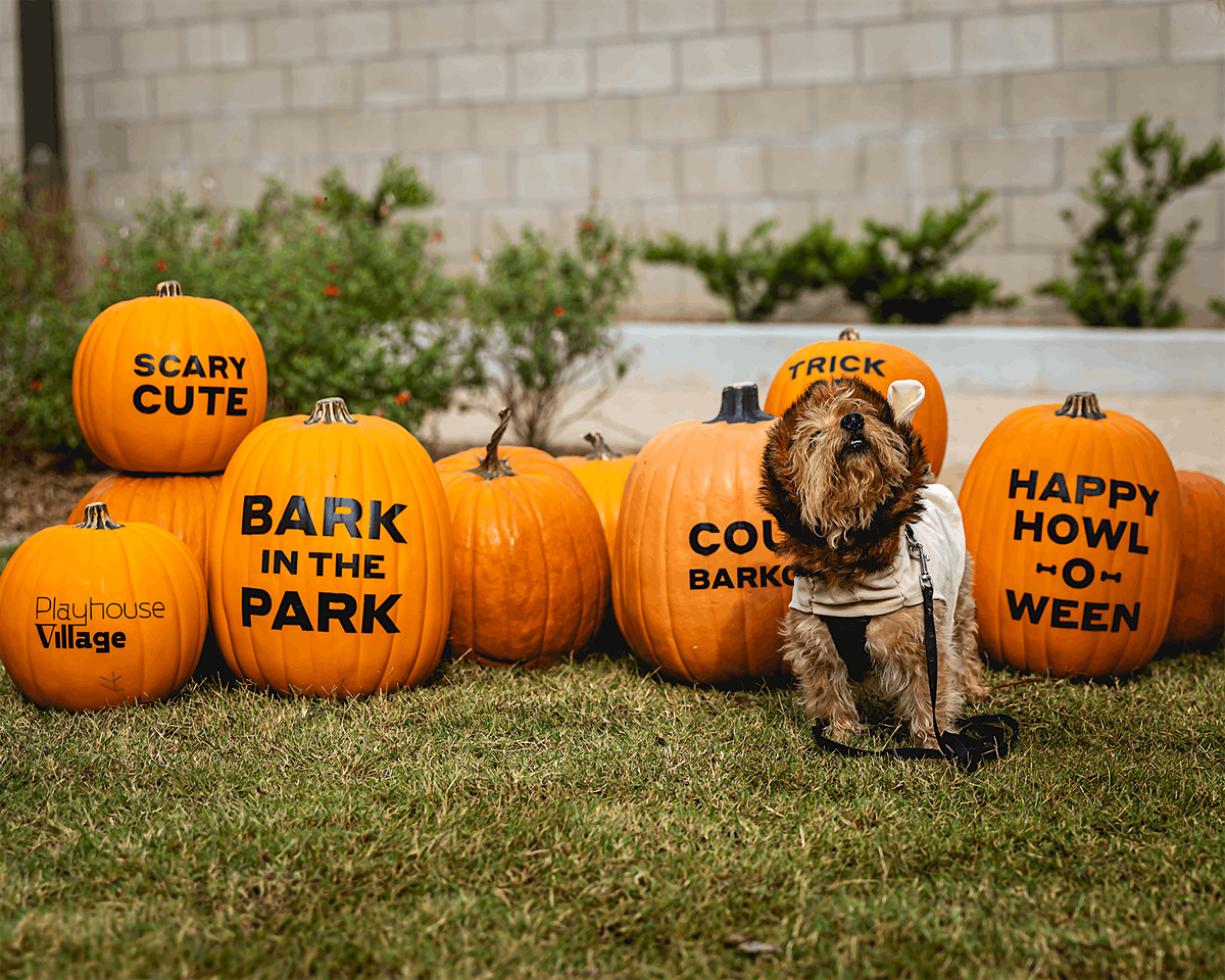Bark in the Park: Howl-O-Ween, 26 October | Event in Pasadena | AllEvents