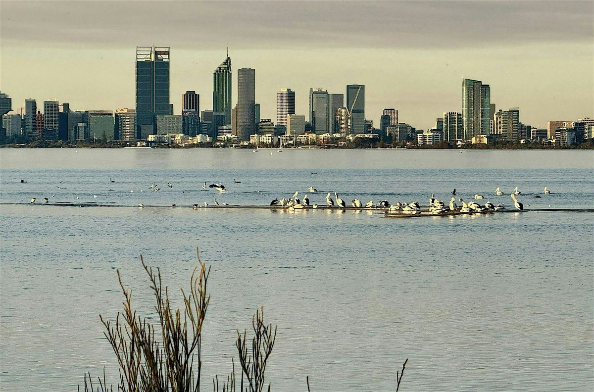 Beginners' Smartphone Bird Photography Workshop, 18 October | Event in Alfred Cove | AllEvents