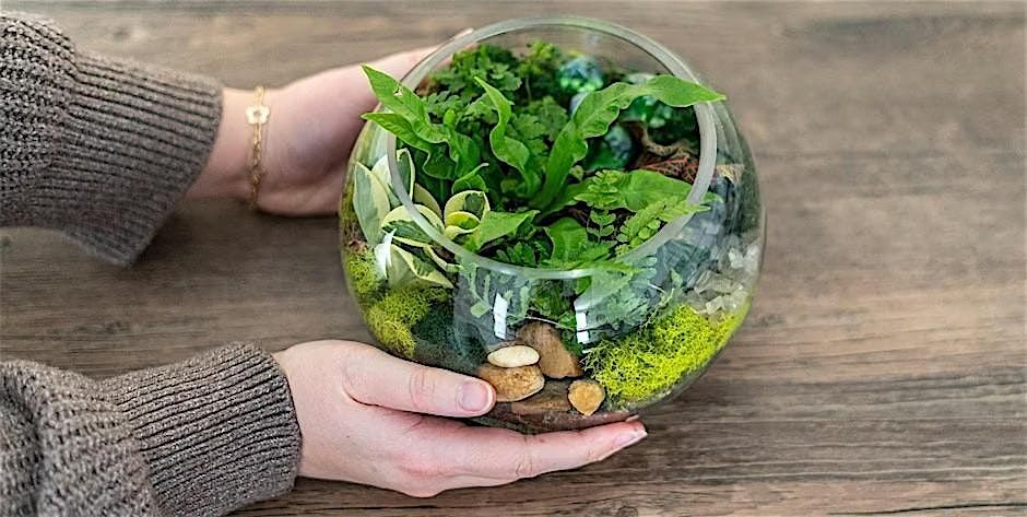 Make-n-Take : Terrariums at Mahoney's Winchester, 9 August | Event in Winchester | AllEvents