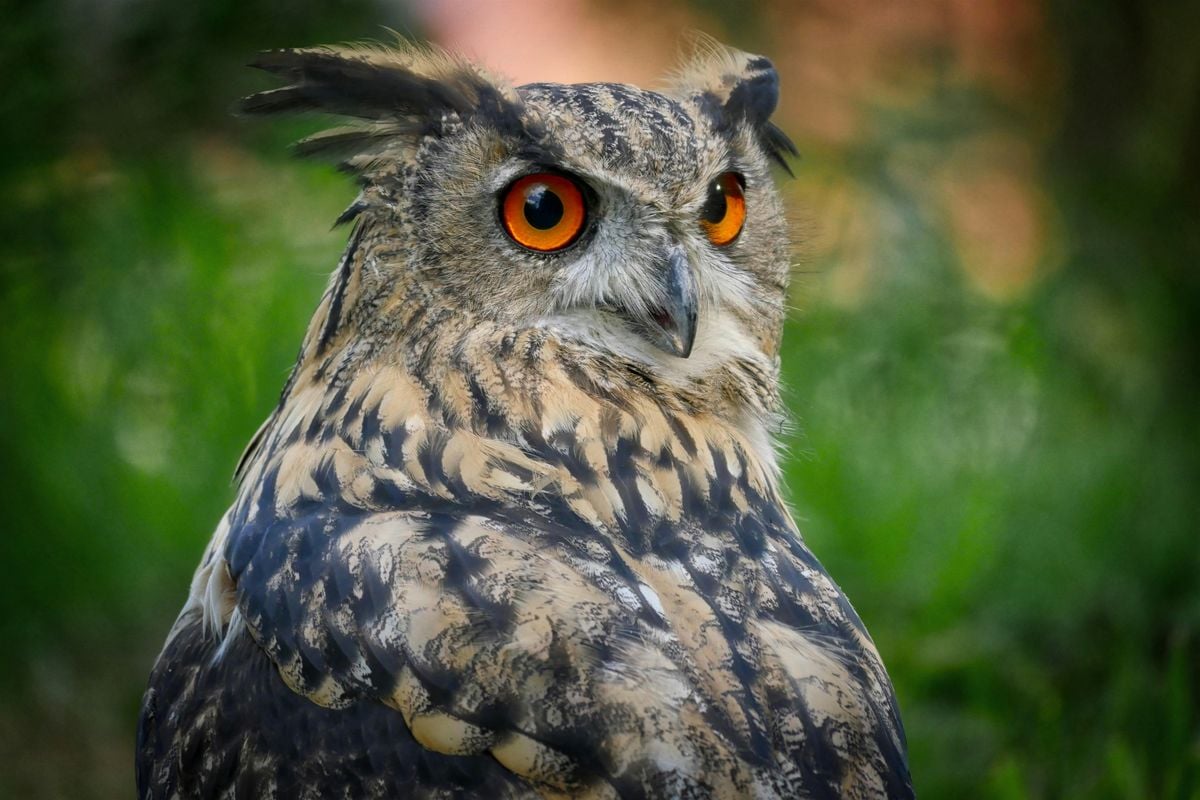 Discovering the Wisdom Within, 2 October | Event in Cambridge | AllEvents