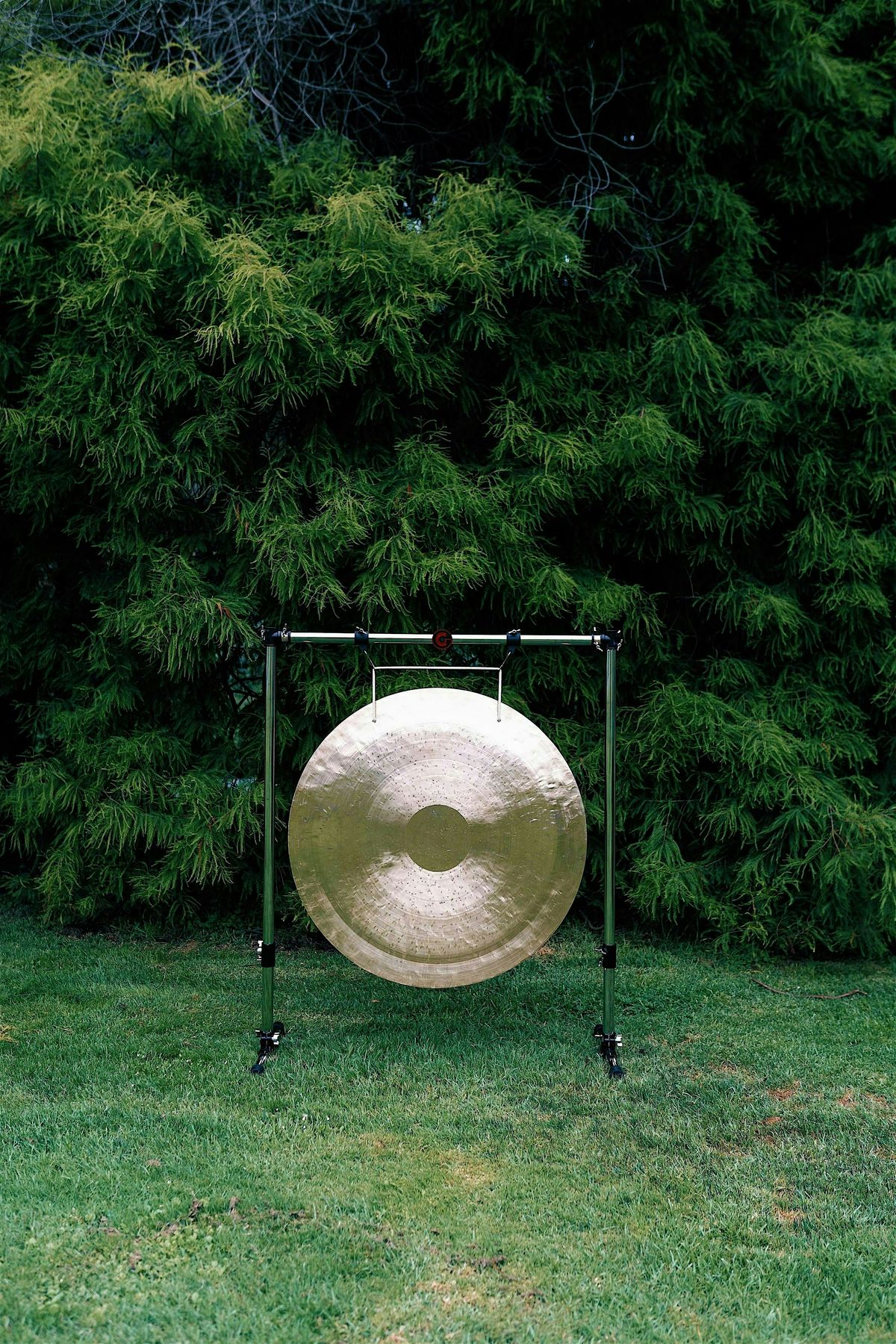 Gong Grove: A Multi-gong Sound Bath in Golden Gate Park, 7 September | Event in San Francisco | AllEvents