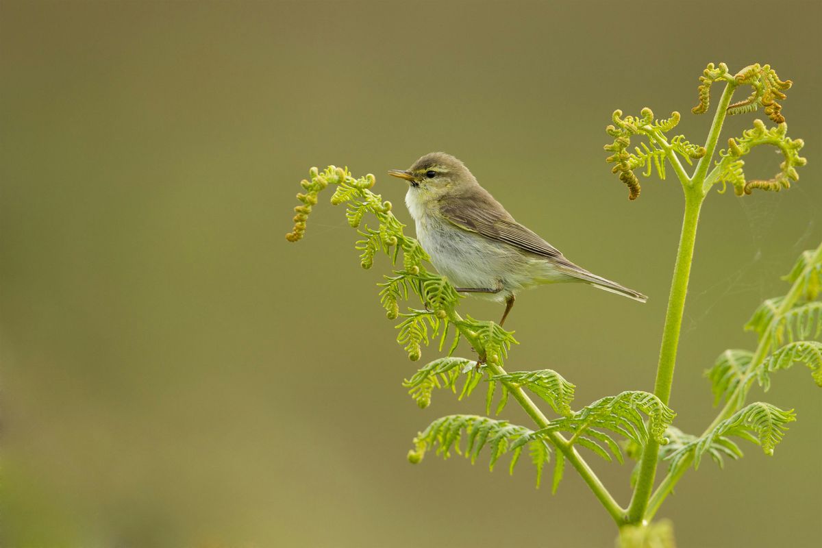 Guided Walk with Jeff, 9 January | Event in Stamford | AllEvents
