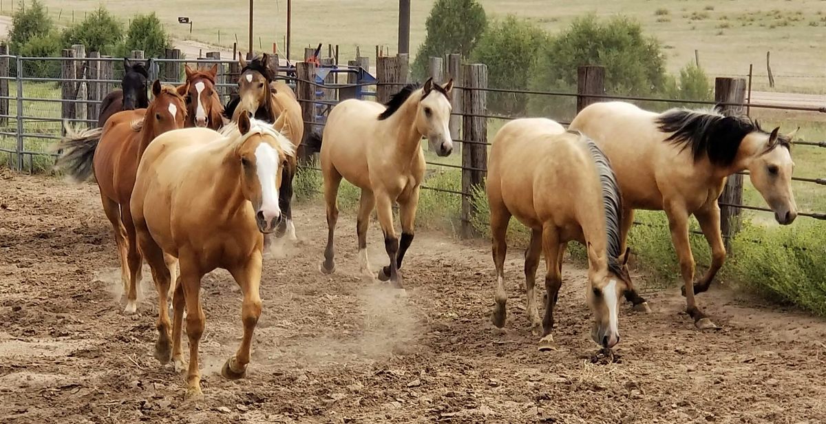 THIRD RIVER RANCH PREVIEW WEEKEND, 18 July | Event in Matheson | AllEvents