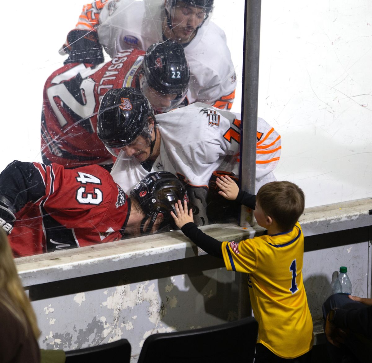 Shreveport Mudbugs at El Paso Rhinos, 13 December | Event in El Paso | AllEvents