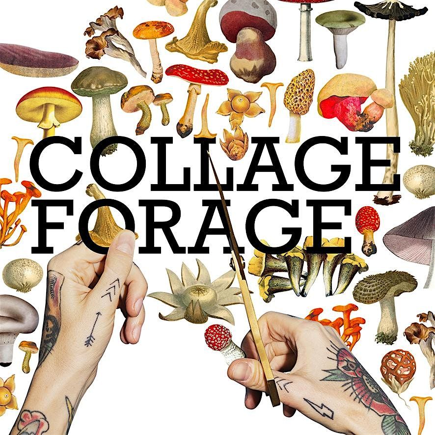 Collage Forage @ Boodle Beasley North Hobart | Event in North Hobart | AllEvents