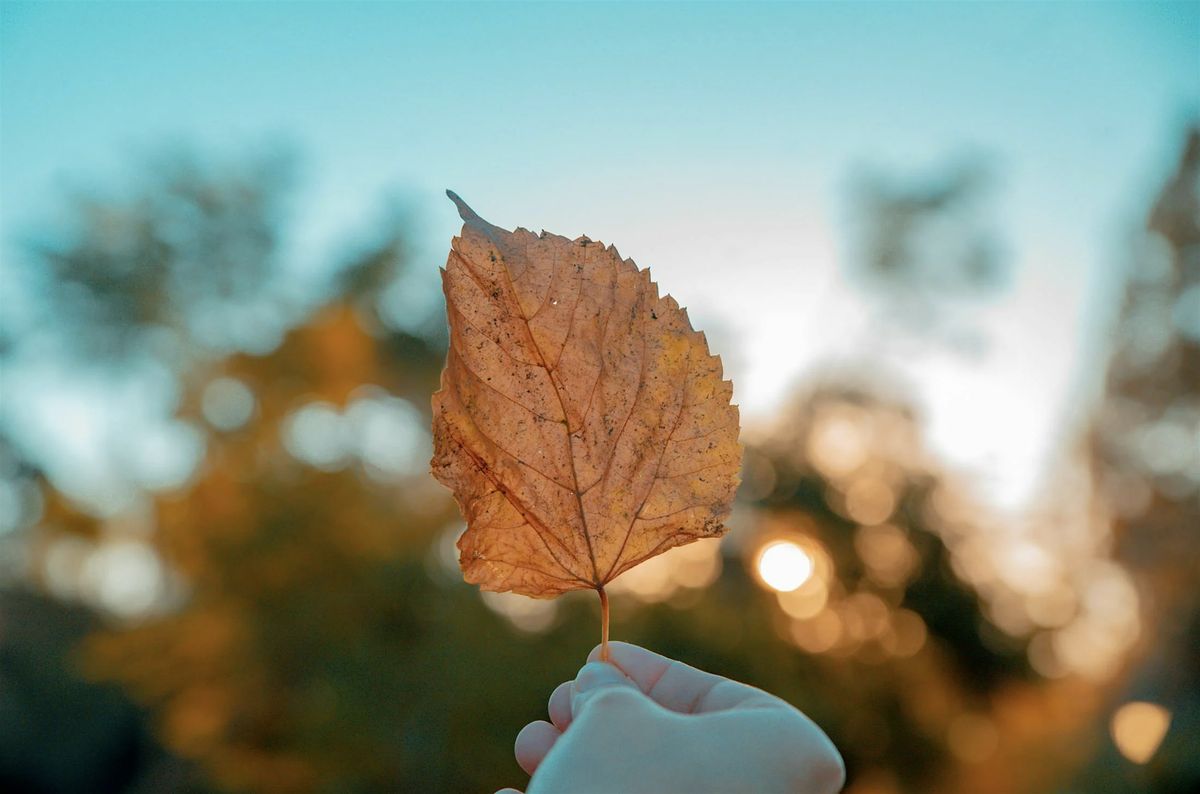 Autumn depth writing workshop - Hebden Bridge, 12 October | Event in Hebden Bridge | AllEvents