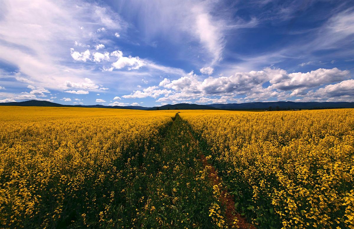 Amazing Scavenger Hunt! - Kalispell Kaper Treasure Hunt | Event in Kalispell | AllEvents