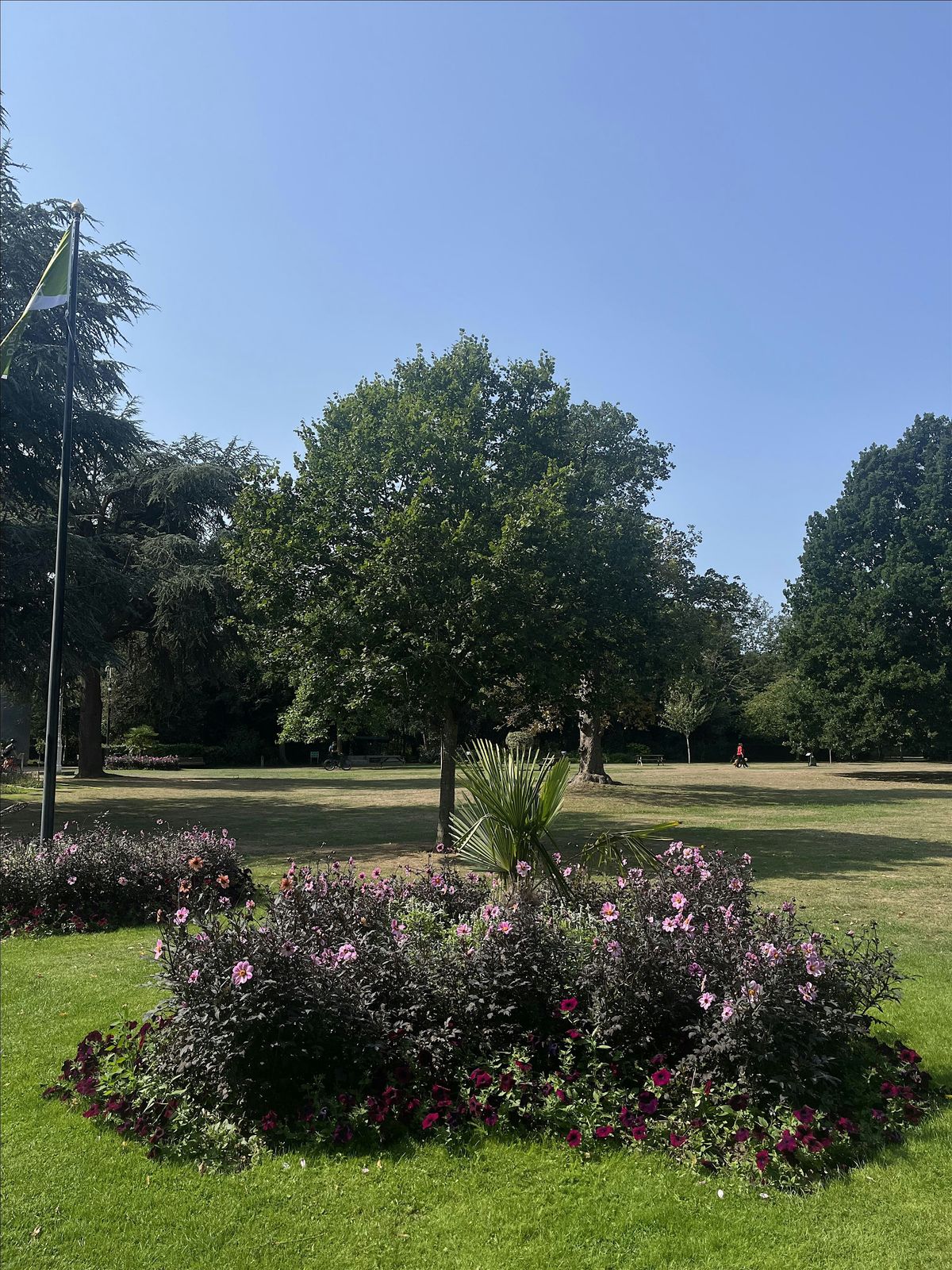 Workout in the park with my vision, 31 August | Event in Chelmsford | AllEvents