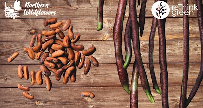 Seed Saving Workshop, 30 July | Event in Greater Sudbury | AllEvents