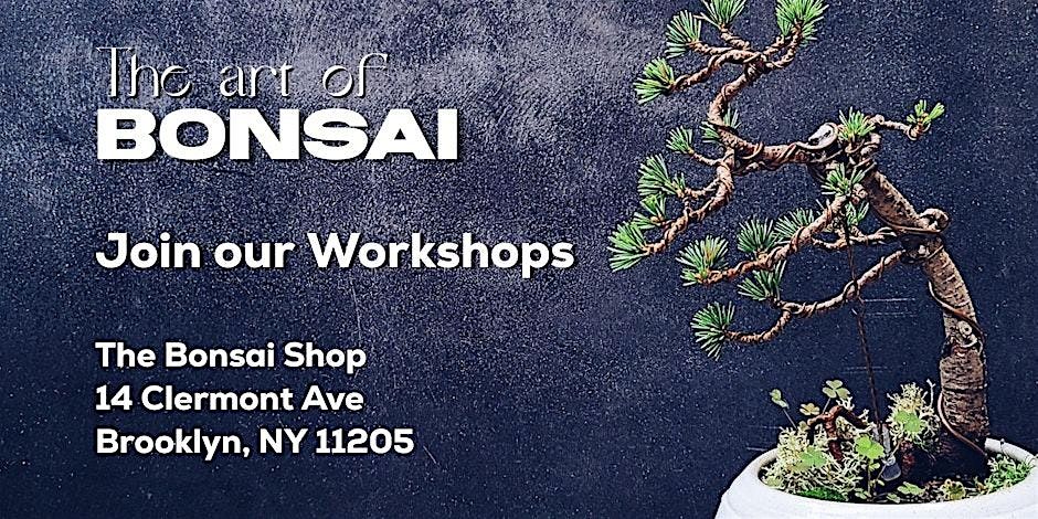 Dwarf Natal Plum Bonsai Workshop, 11/22, 22 November | Event in Brooklyn | AllEvents