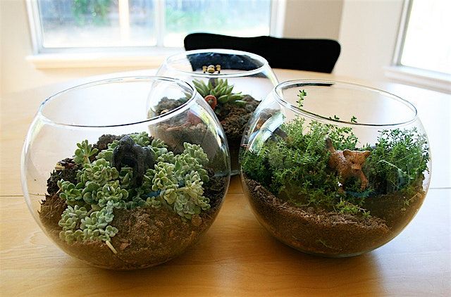 Terrarium Workshop, 31 July | Event in Sandusky | AllEvents