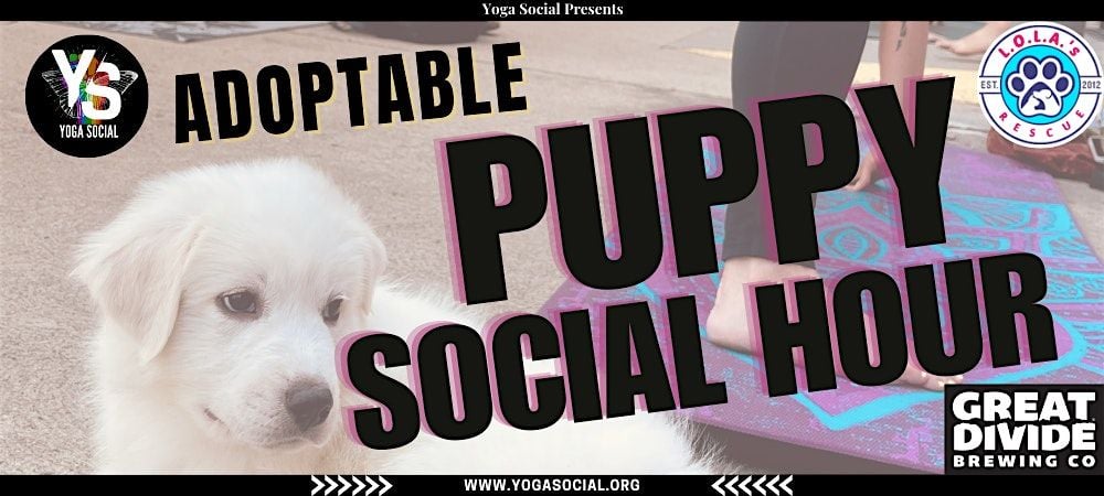 Adoptable Puppy Social Hour at Great Divide Bar, 13 September | Event in Denver | AllEvents