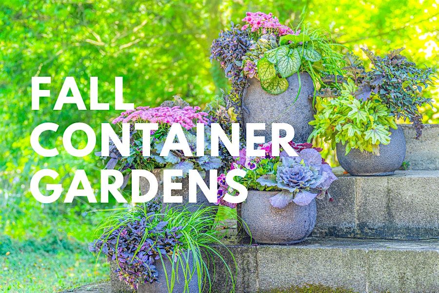 Fall Container Gardens, 13 September | Event in Fairfax | AllEvents