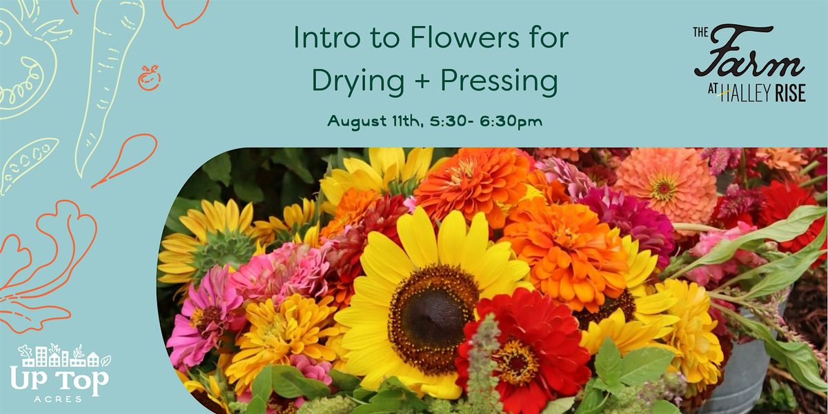 Intro to Flowers for Drying and Pressing, 11 August | Event in Reston | AllEvents