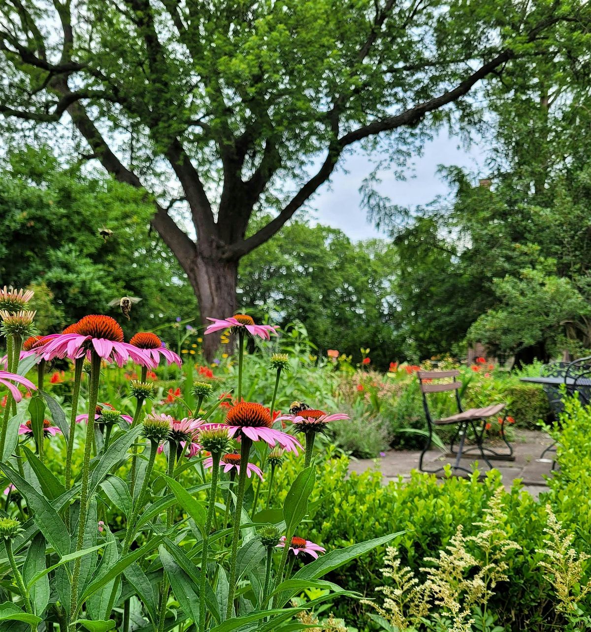Ten Broeck Mansion Gardening & Community Days 2025 | Event in Albany | AllEvents
