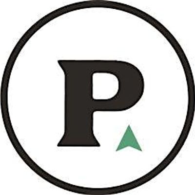 Pioneer Management Consulting