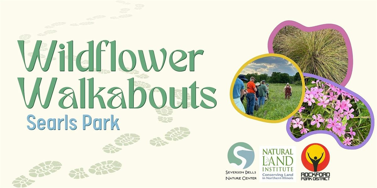 2025 Wildflower Walkabout – Searls Prairie, 24 June | Event in Rockford | AllEvents