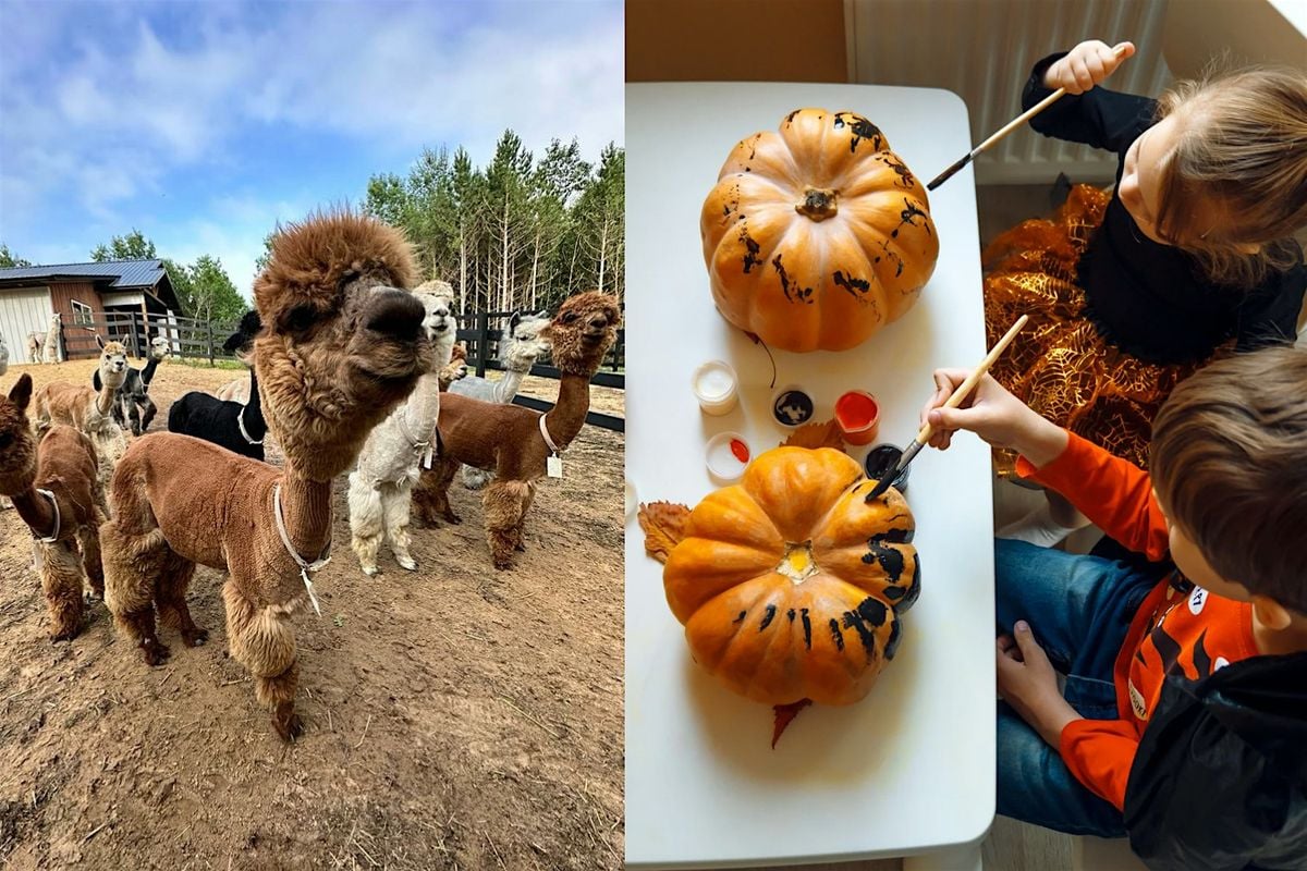 Trick-or-Treat at Casacampo Alpaca Ranch, 25 October | Event in Wisconsin Dells | AllEvents