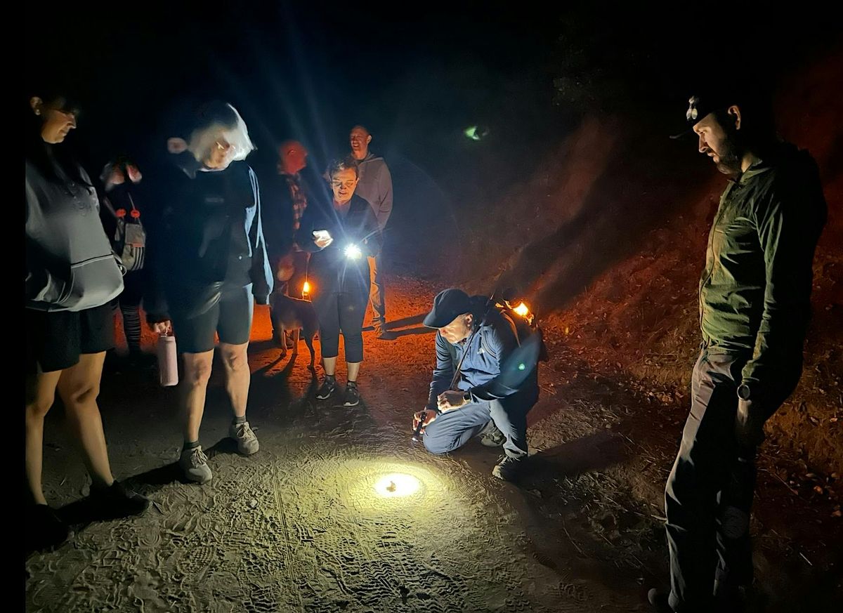 Full Moon Night Hike ~ Glowworm Season!, 12 May | Event in Los Angeles | AllEvents