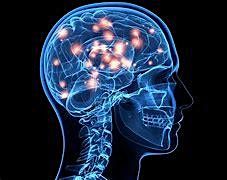 Neuro Study day, 2 December | Event in Middlesbrough | AllEvents