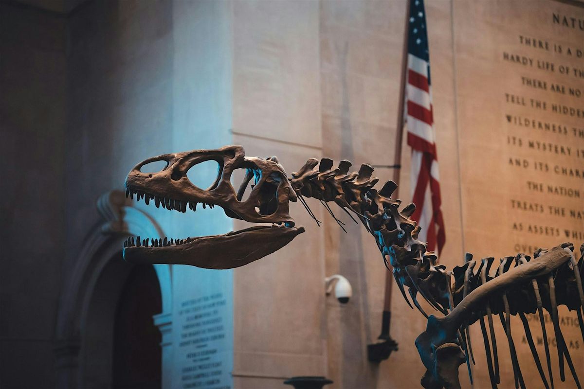 Visiting American Museum of Natural History, 17 August | Event in New York | AllEvents