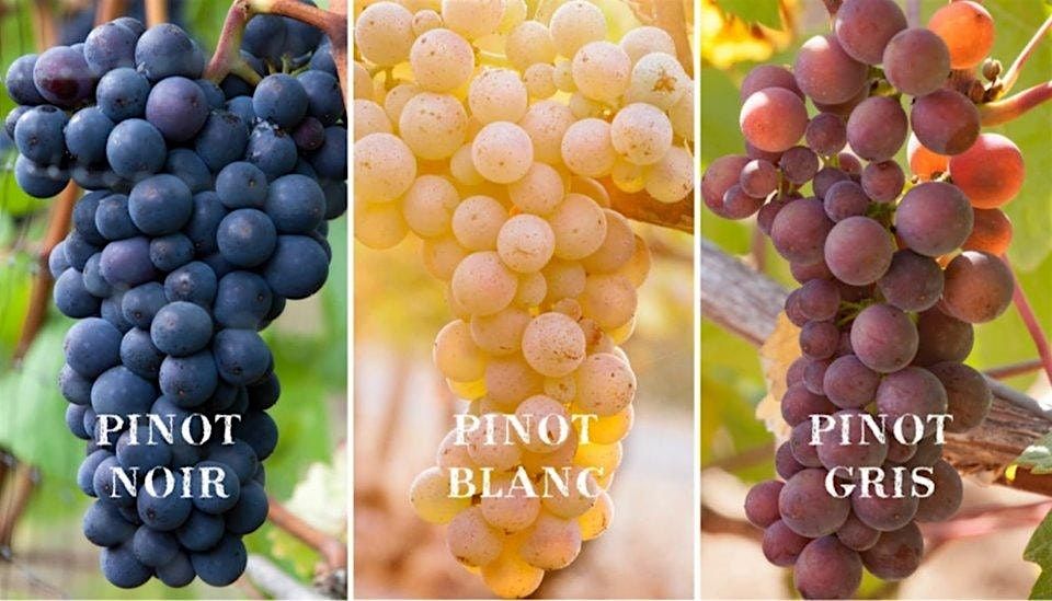 Class in a Glass of Pinot - Wine Comparative Tasting - Explore Series, 15 October | Event in Austin | AllEvents