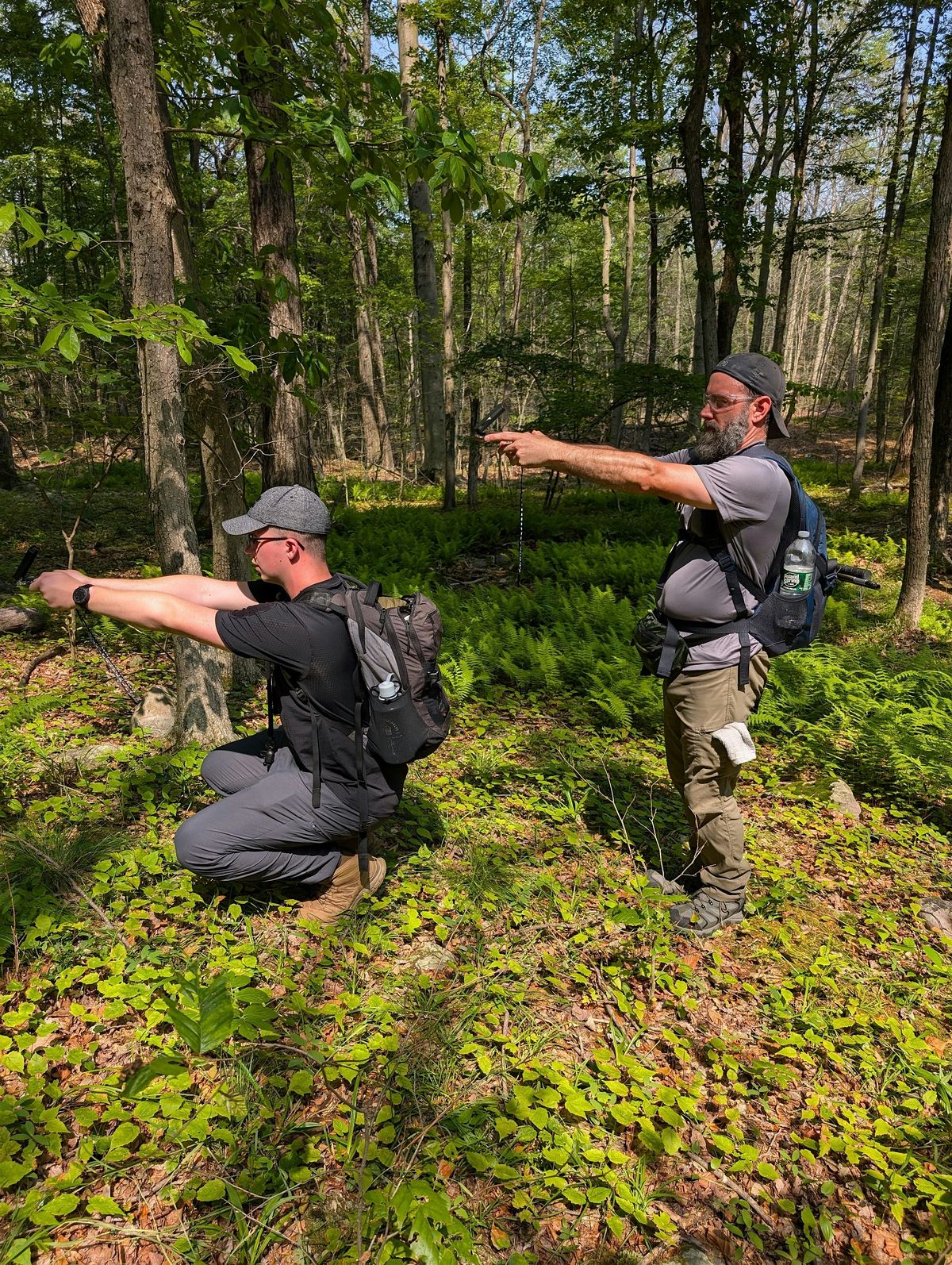 Bushwhacking 1 - Intro, 16 August | Event in Ringwood | AllEvents