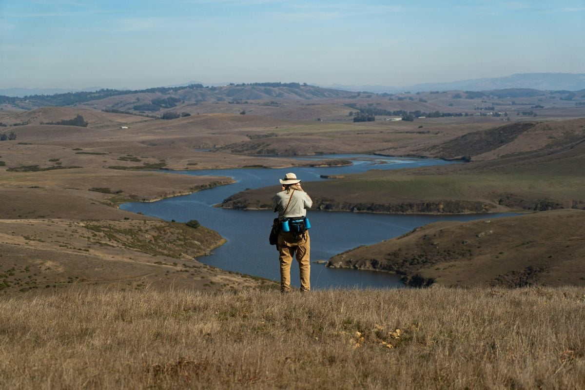 Guided Hike at Estero Americano Coast Preserve, 13 August | Event in Bodega Bay | AllEvents