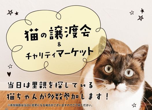 猫の譲渡会 Peanuts Club Tokyo December 19 2021 Allevents In