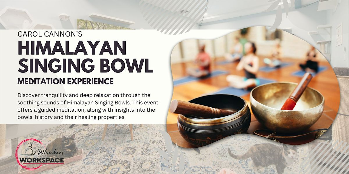 Himalayan Singing Bowl Meditation Experience (Sound Bath) with cats, 11 October | Event in St. Petersburg