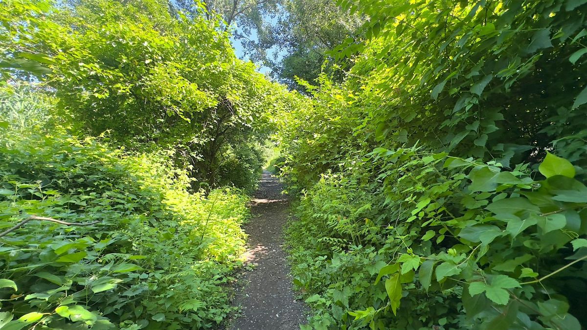 Mindful Nature Journaling Hike / Flushing Meadows Corona Park (Queens), 31 August | Event in Queens | AllEvents